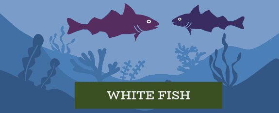 White fish dog food